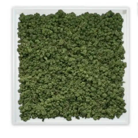 Ofertă limitată Panou decorativ , Muschi, My Torvtak Moss Green