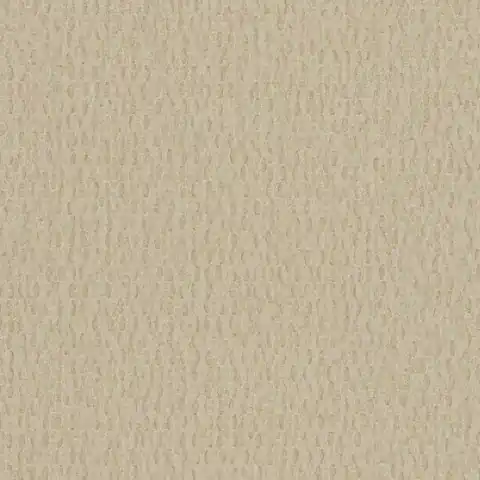 Vezi acum Fototapet, Iguana Sand, 6454839, Coordonne