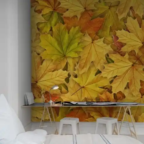 Fototapet, Autumn Leaves, Rebel Walls Comandă acum