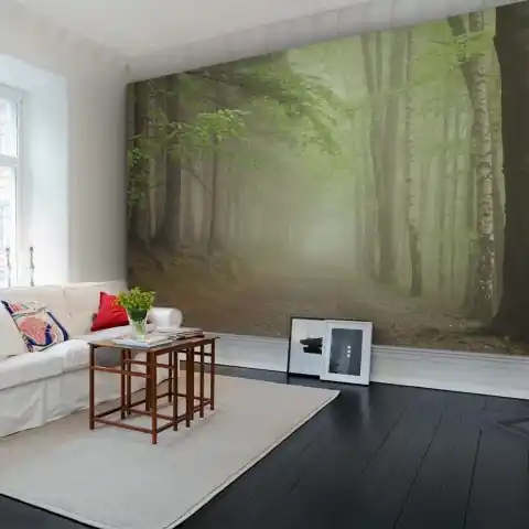 Fototapet, Forest Path, Rebel Walls Ieftin