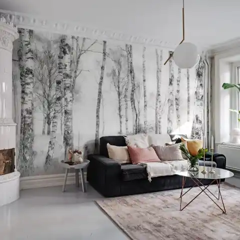 Cel mai bun preț Fototapet, Birch Trees, Rebel Walls
