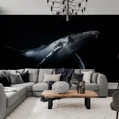 Calitate înaltă Fototapet, Black Whale, Rebel Walls