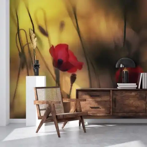 Retur gratuit Fototapet, Soft Poppy, Rebel Walls