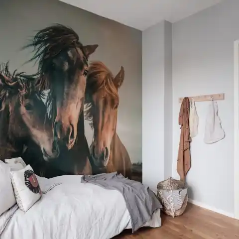 Retur gratuit Fototapet, Three Horses, Rebel Walls