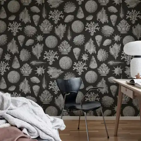 Livrare expres Fototapet, Seashells, Graphite, Rebel Walls