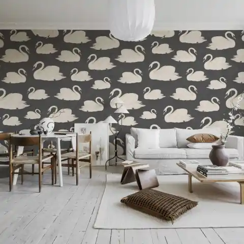 Fototapet, Whooper Swan, Black, Rebel Walls Lichidare de stoc