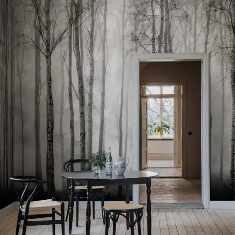 Cumpără acum Fototapet, Birch Fog, Black & White, Rebel Walls