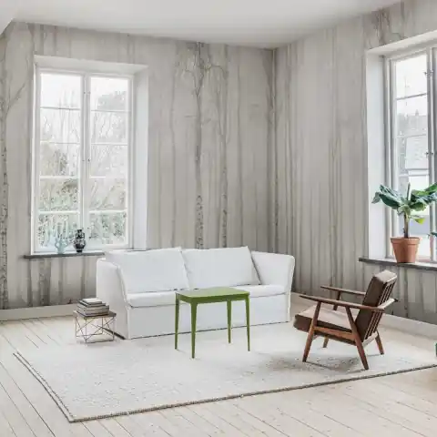 Retur gratuit Fototapet, Birch Fog, White, Rebel Walls