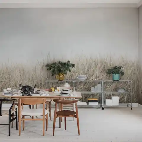 Fototapet, Scandinavian Reed, Beige, Rebel Walls Retur ușor