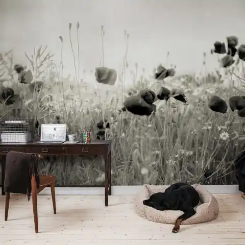 Fototapet, Poppy Field, Vintage, Rebel Walls Ofertă de sezon