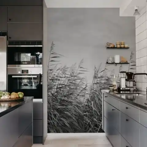 Reducere extra Fototapet, Dreamy Reed, Black & White, Rebel Walls